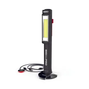 Big Larry Pro Light
