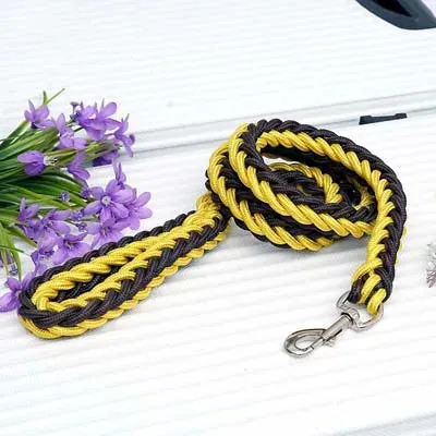 Dog Heaven™ Braided Leash