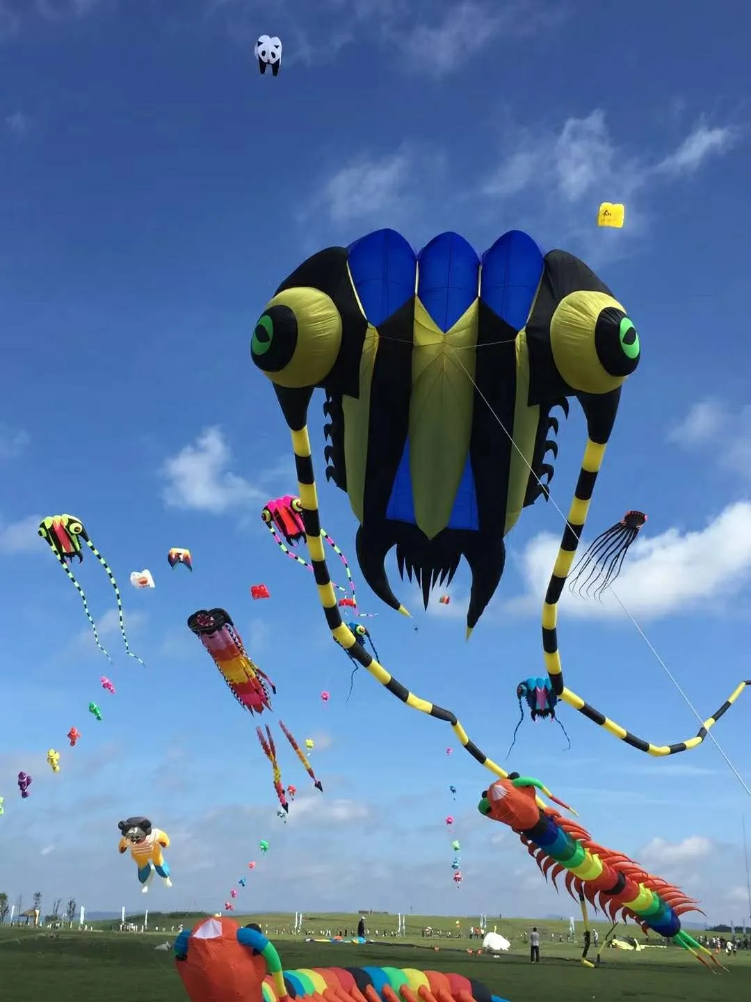 large 32sqm nylon trilobite show kite