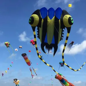 large 32sqm nylon trilobite show kite