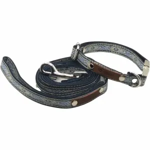"The Archie" Durable Designer Dog Collar Set No. 5s