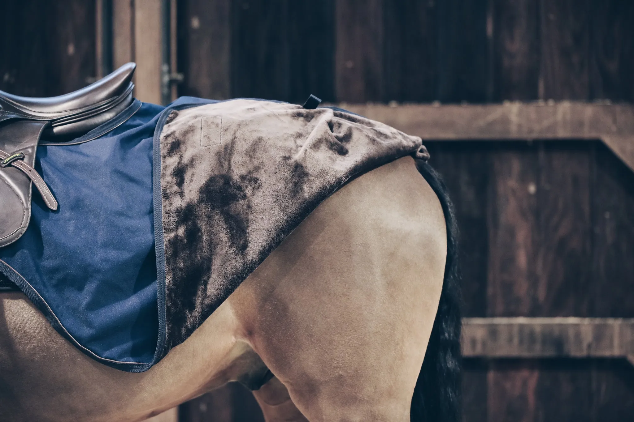 Riding Rug All Weather