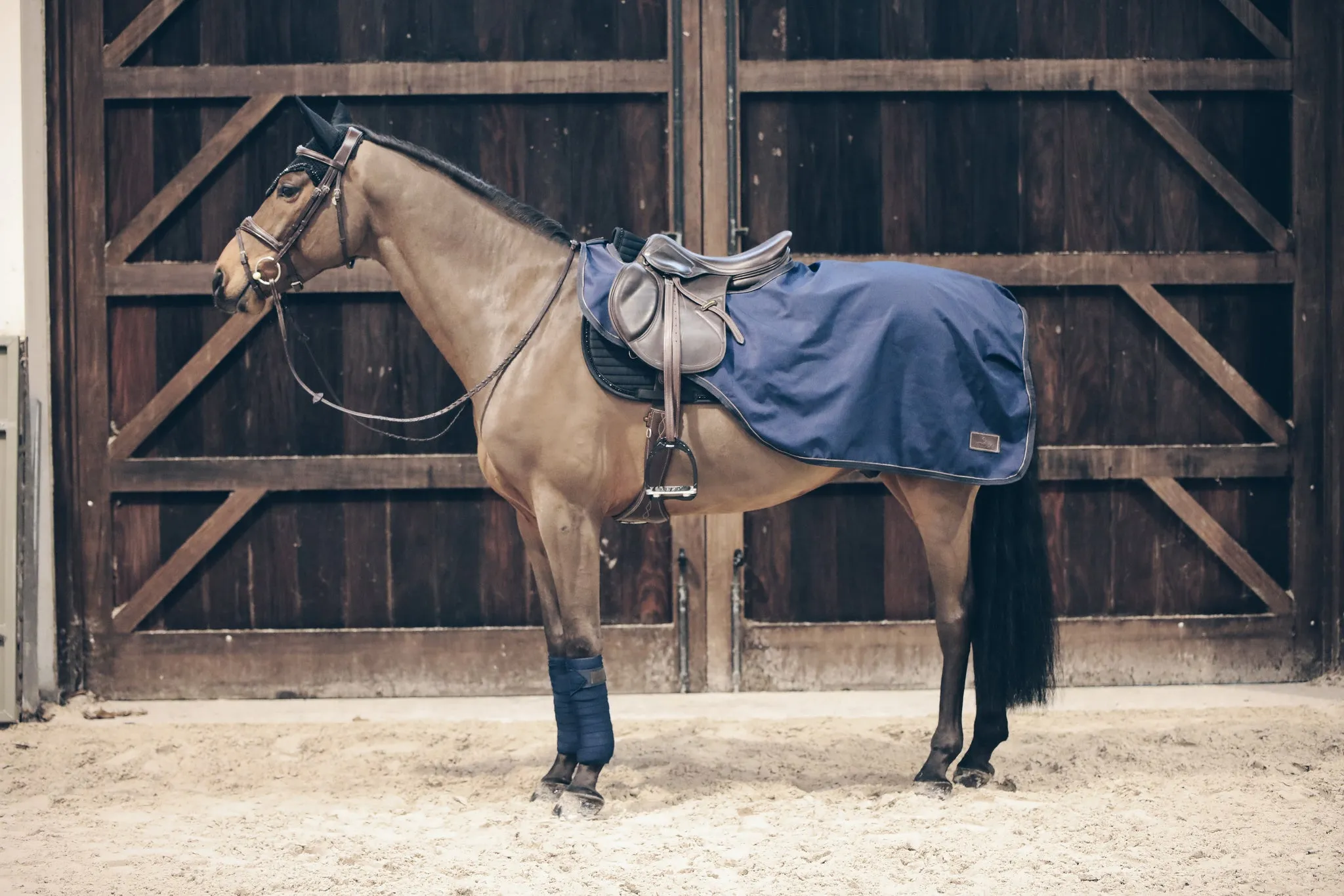 Riding Rug All Weather