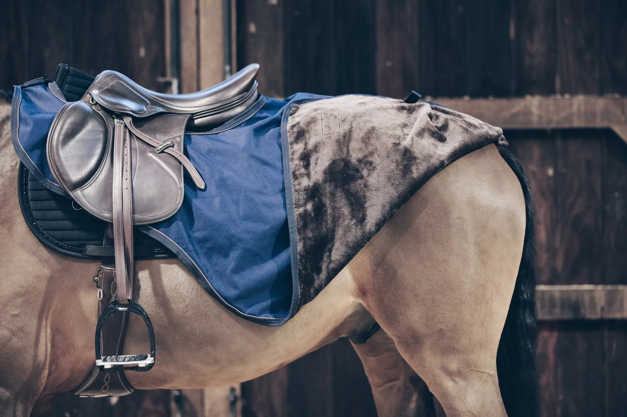 Riding Rug All Weather