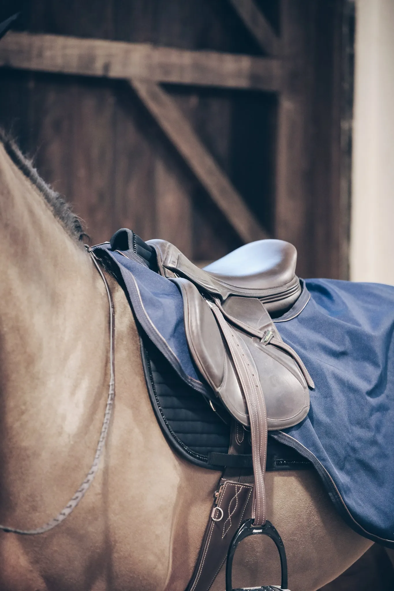 Riding Rug All Weather