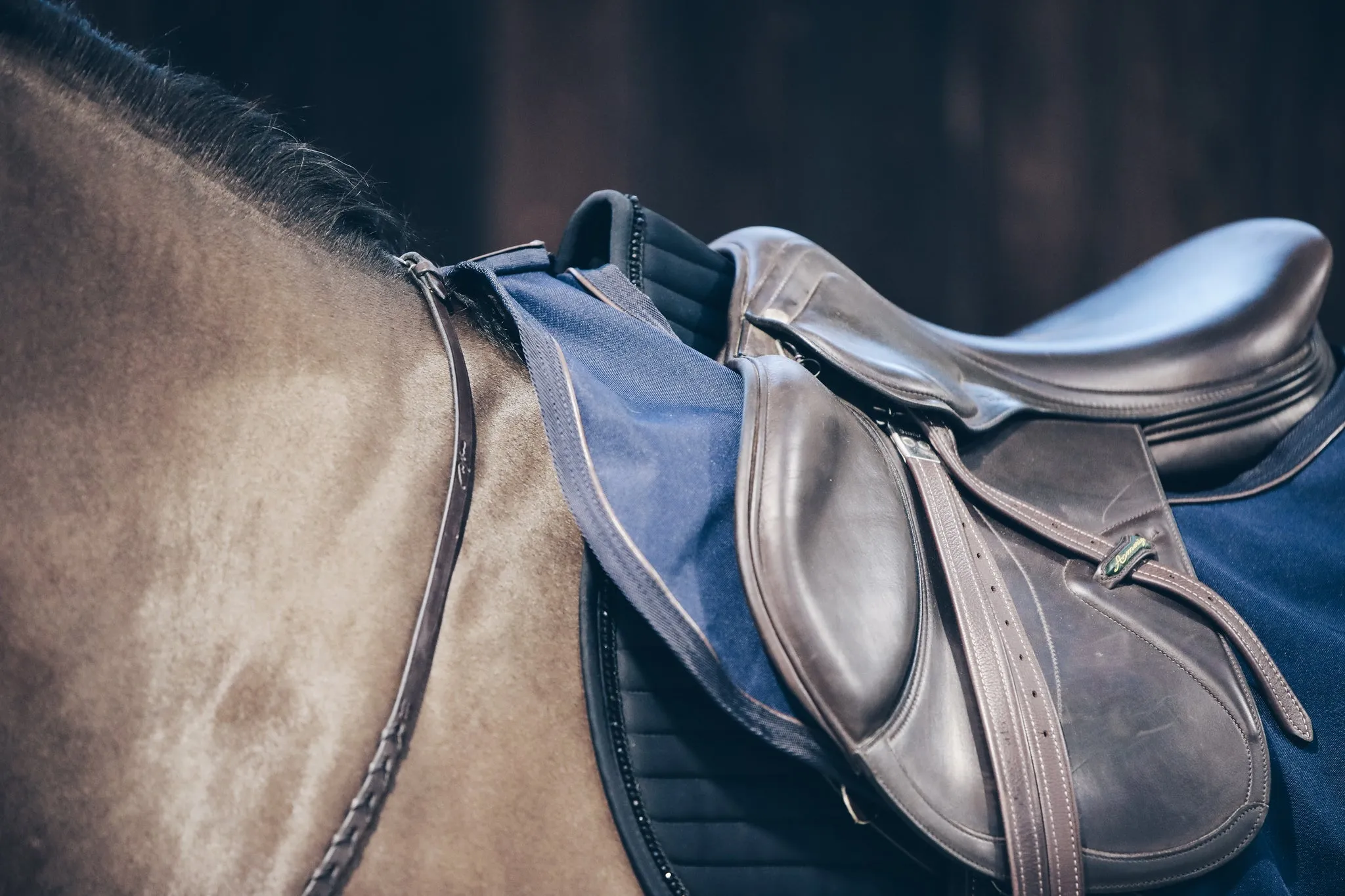Riding Rug All Weather