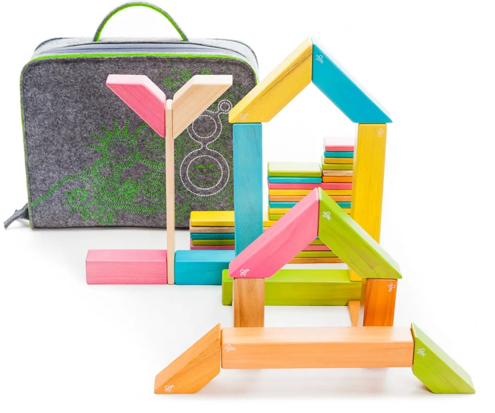 Tegu Travel Tote